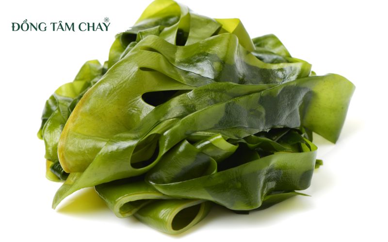 Nguyen-lieu-chay-10
