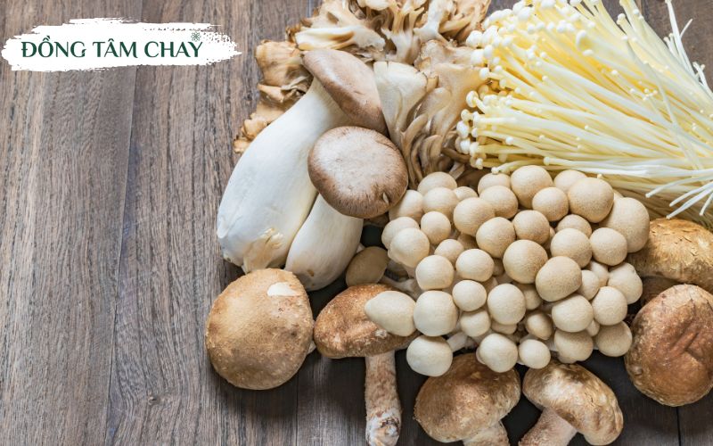 Nguyen-lieu-chay-6