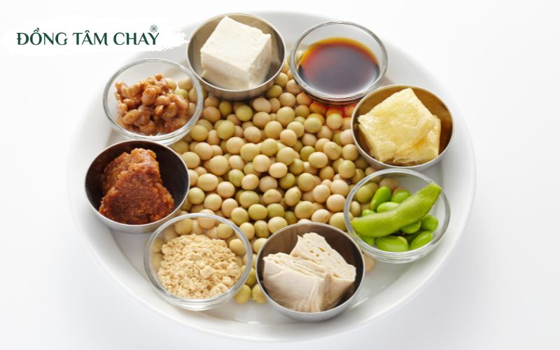Nguyen-lieu-chay-9